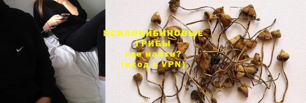 МДПВ Абаза