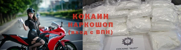 прущие грибы Абдулино