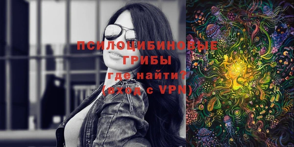 прущие грибы Абдулино
