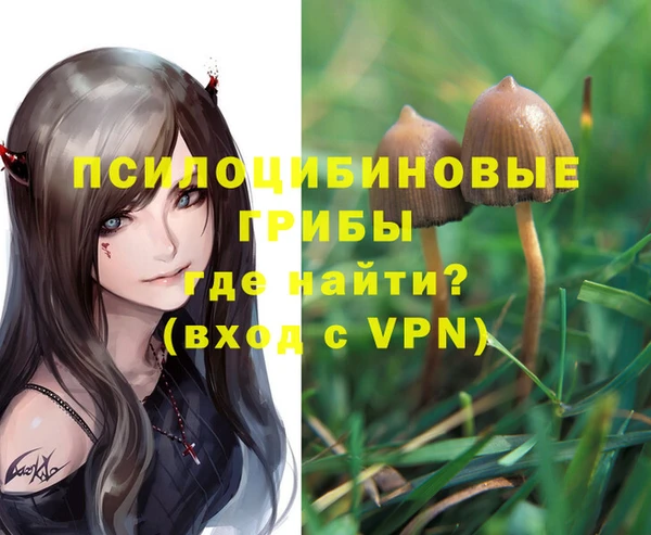 прущие грибы Абдулино