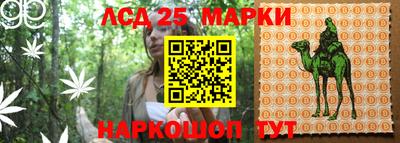 первитин Гатчина