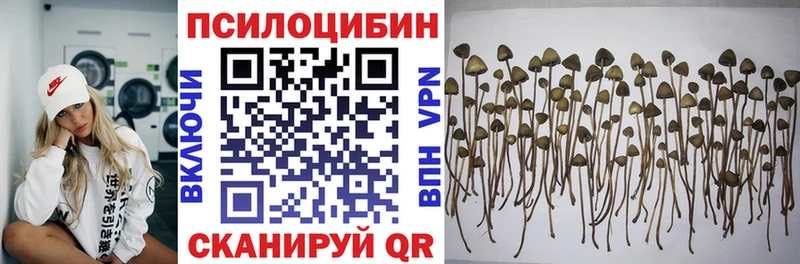 Псилоцибиновые грибы мухоморы  hydra ONION  Зеленокумск 