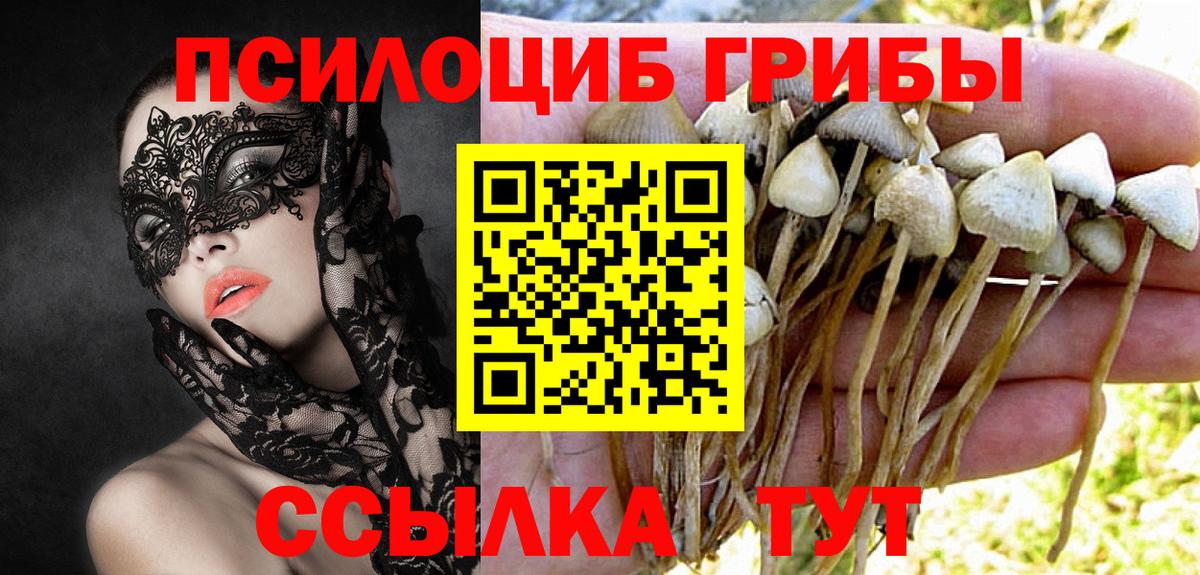 Псилоцибиновые грибы прущие грибы Зеленокумск
