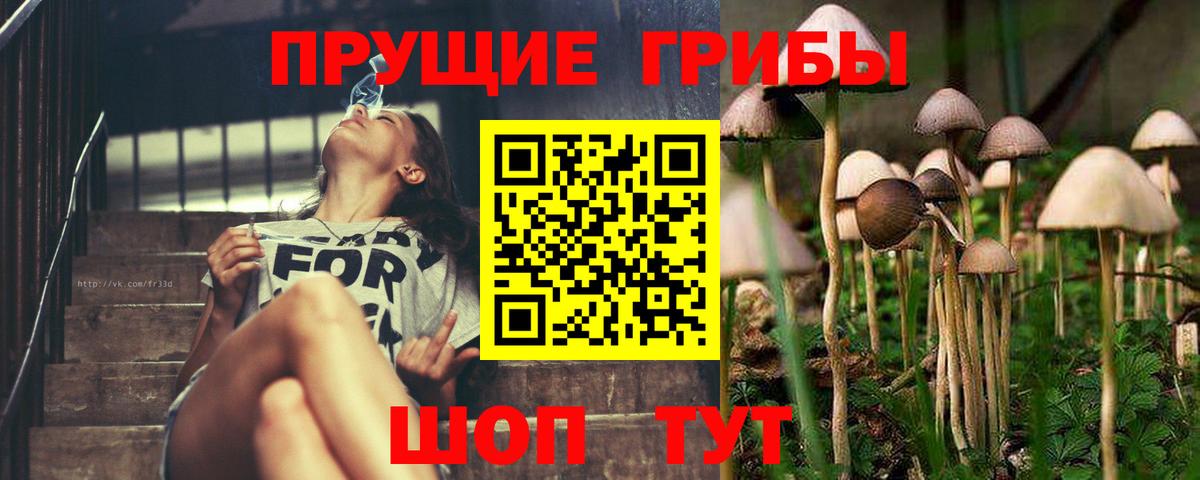 Галлюциногенные грибы мицелий  Псилоцибиновые грибы Psilocybe  Зеленокумск  Вход с VPN 